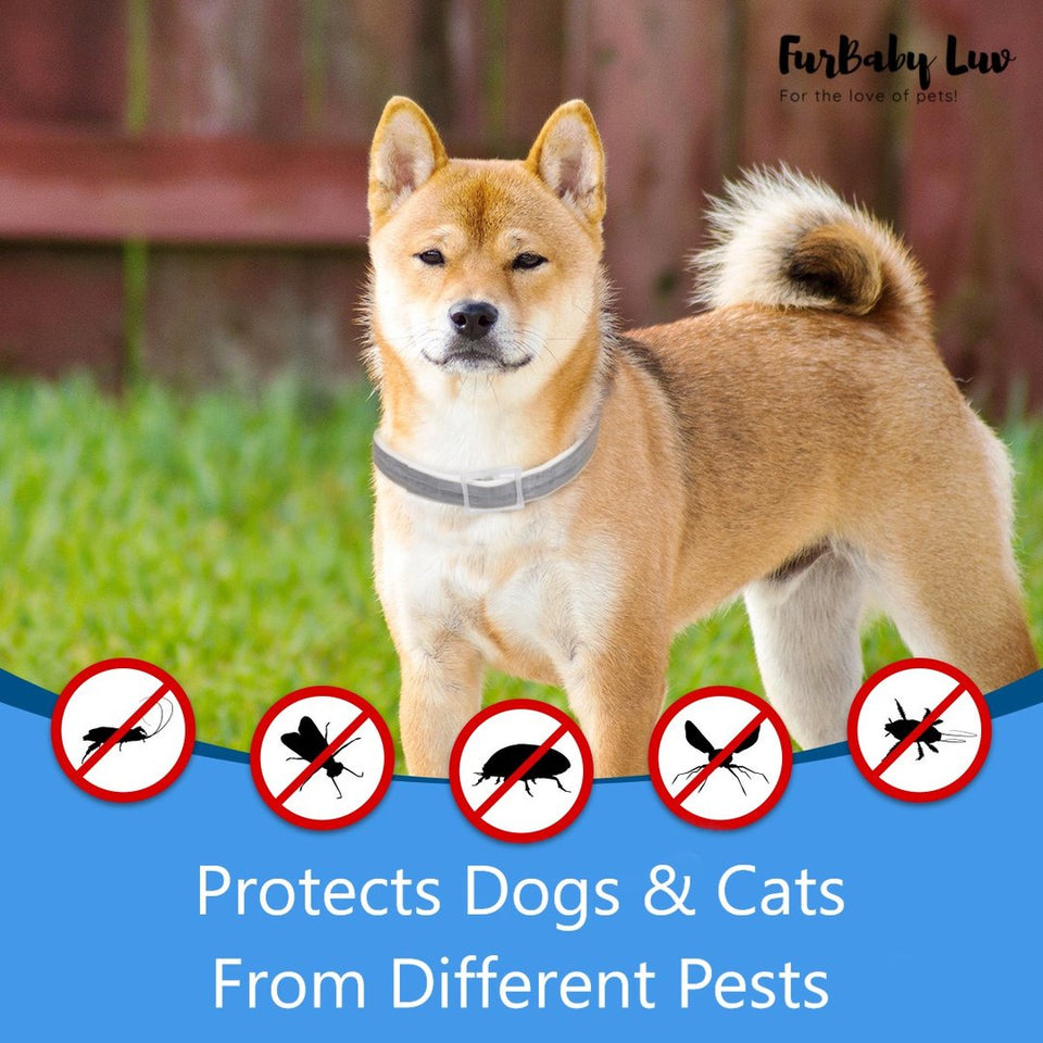 COCOPUG FLEA-AWAY PET COLLAR (100% NATURAL)
