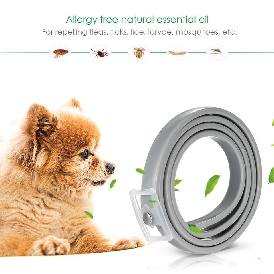 COCOPUG FLEA-AWAY PET COLLAR (100% NATURAL)